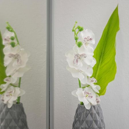 Kristall Suites スタロス エクステリア 写真